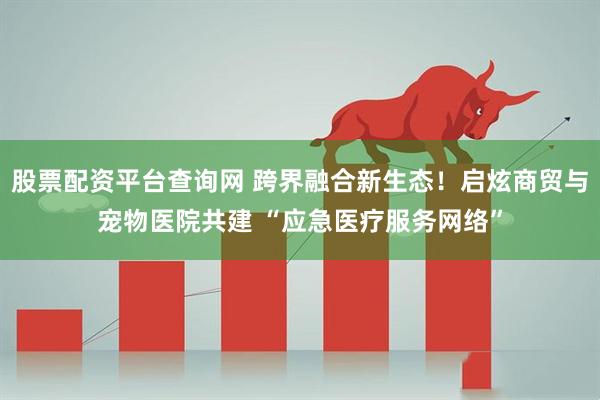 股票配资平台查询网 跨界融合新生态！启炫商贸与宠物医院共建 “应急医疗服务网络”